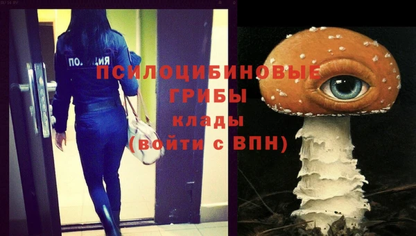 ешки Алексеевка