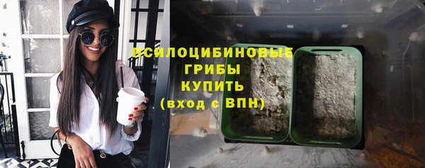 ешки Алексеевка