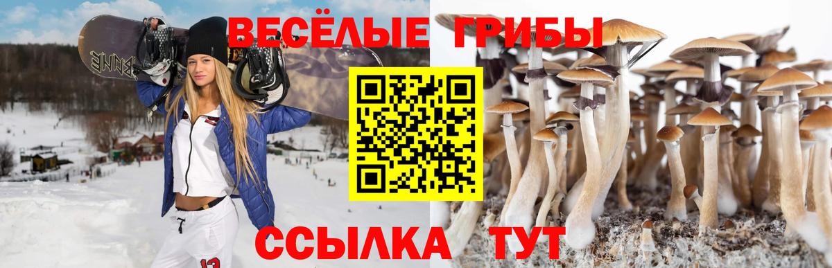 Галлюциногенные грибы GOLDEN TEACHER  даркнет сайт  Канаш  Псилоцибиновые грибы GOLDEN TEACHER  Вход с VPN 
